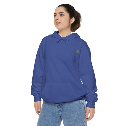 Flag Graphic Hoodie — Distressed American Flag Design