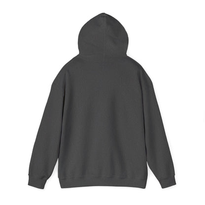 Gen-X Warning Hoodie — "Zero Tolerance for Bullsh*t" Vintage Style Sweatshirt